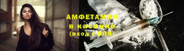 стаф Нея
