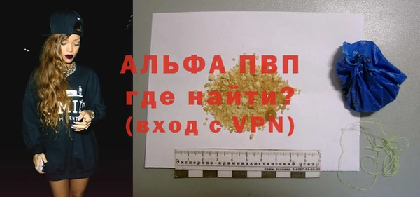 стаф Нея