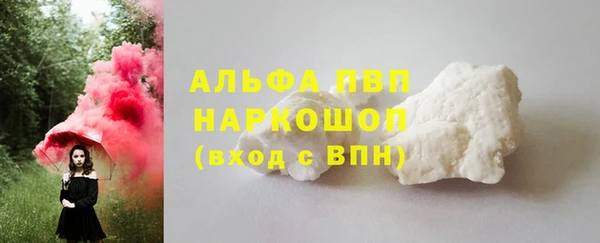 стаф Нея