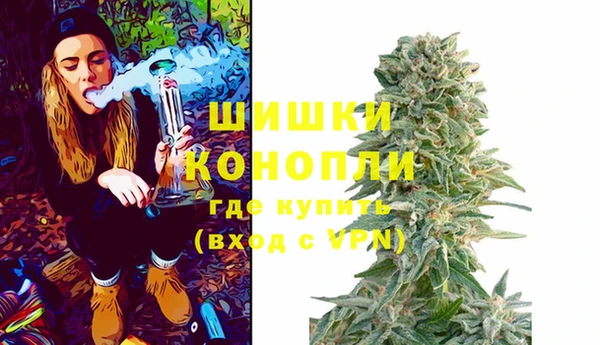 стаф Нея