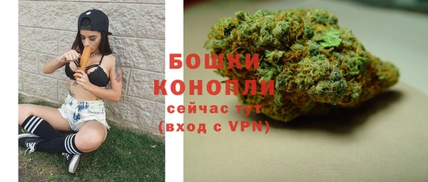 трава Новодвинск