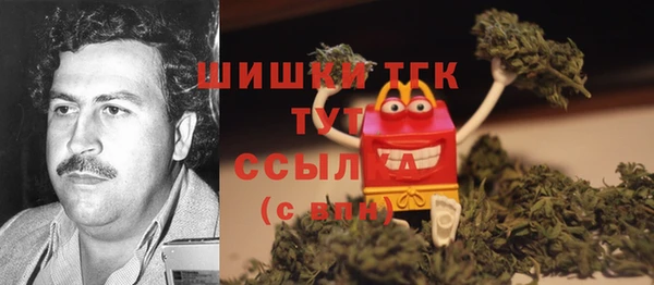 стаф Нея
