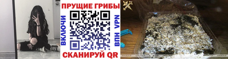 Галлюциногенные грибы GOLDEN TEACHER  Калач-на-Дону 