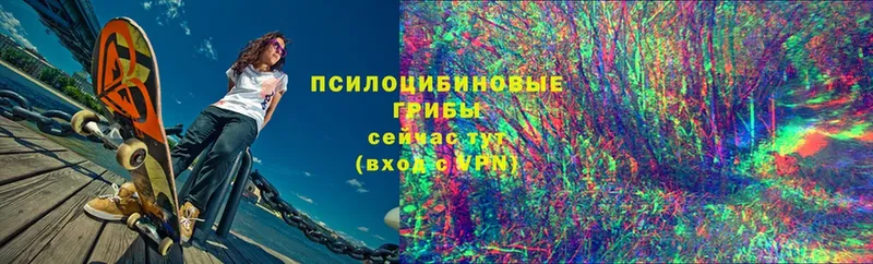 Псилоцибиновые грибы MAGIC MUSHROOMS  где продают наркотики  Калач-на-Дону 