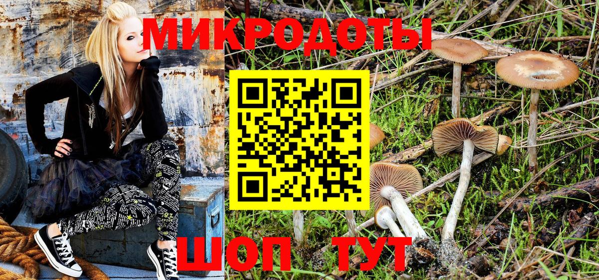 Калач-на-Дону  Галлюциногенные грибы мухоморы  где можно купить наркотик  Вход с VPN 