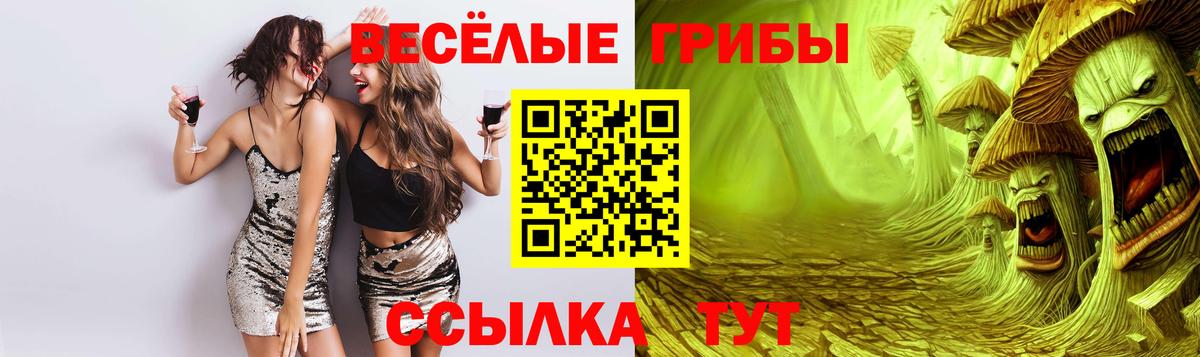 Галлюциногенные грибы GOLDEN TEACHER Калач-на-Дону